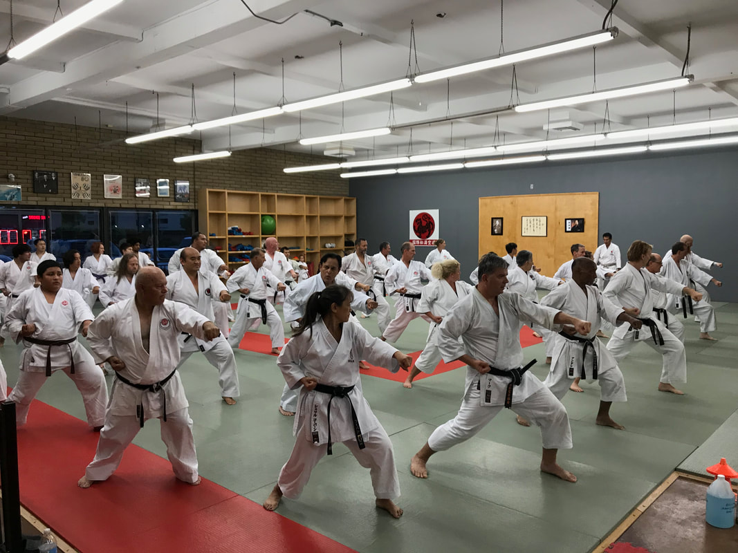 Training at the End of Summer Karate Camp 2018